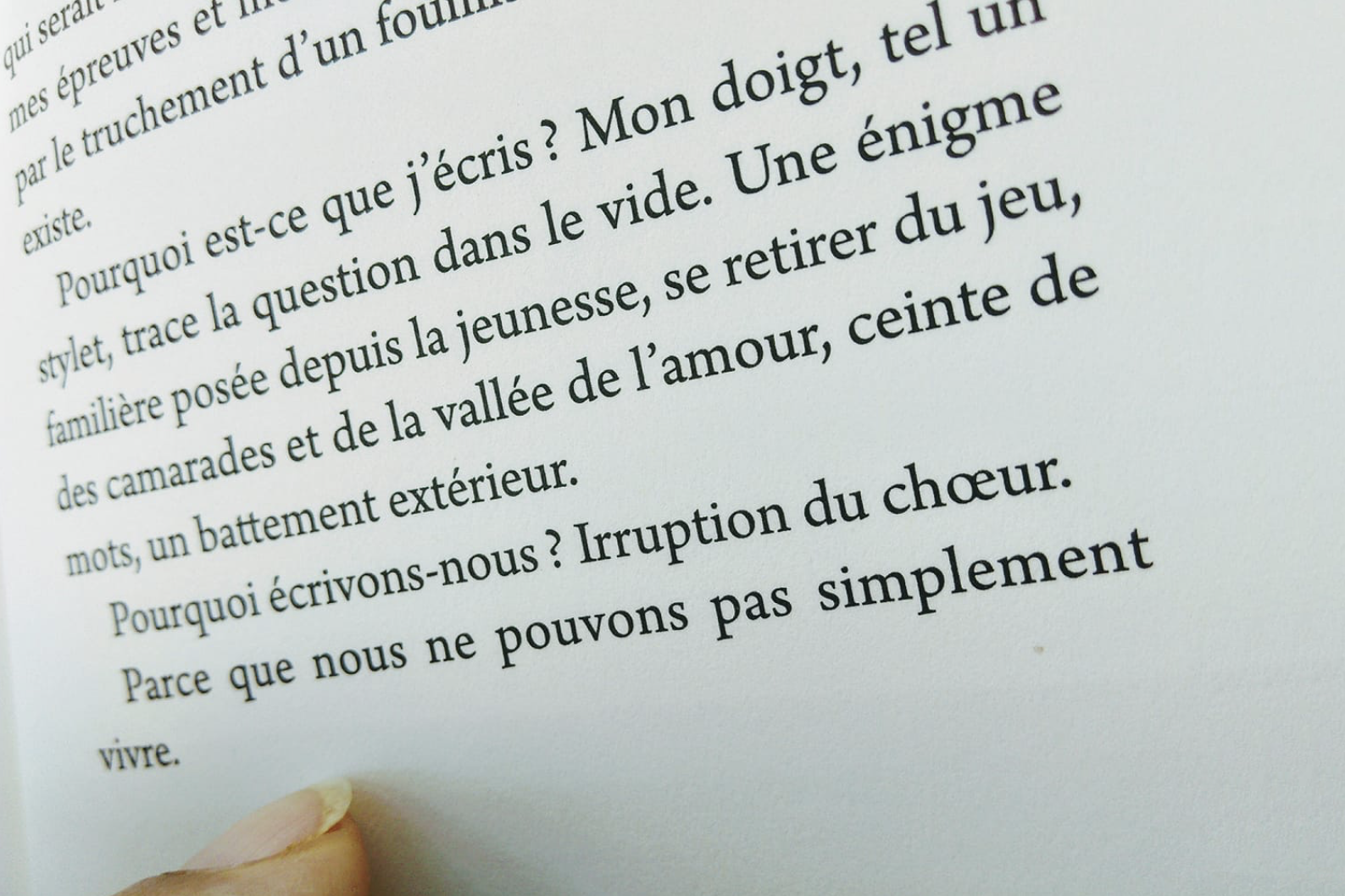sous feuilles orangées