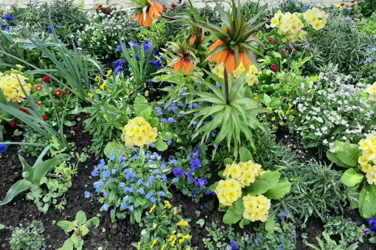 bout de jardin