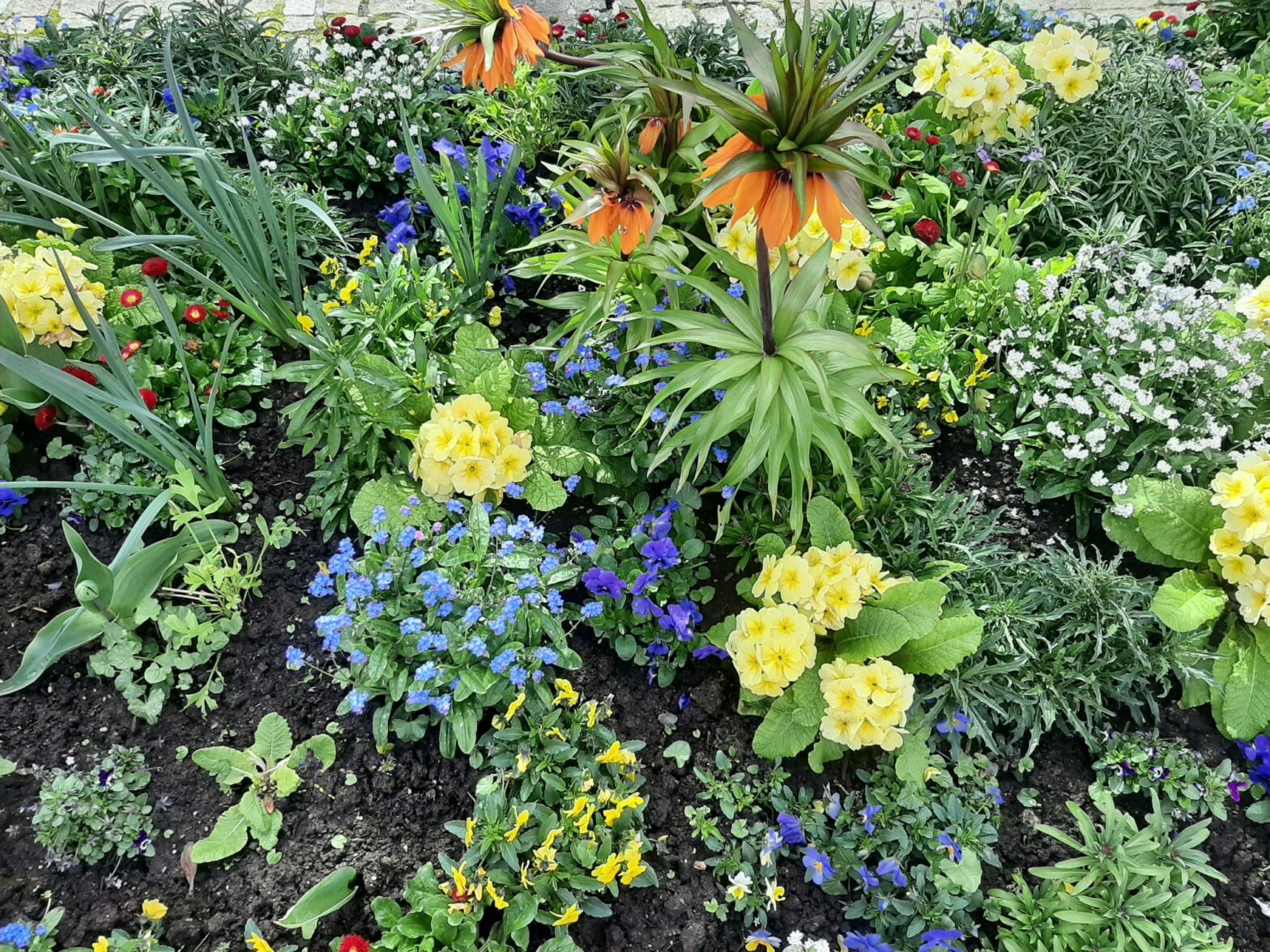 bout de jardin